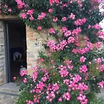 Nido D'amore