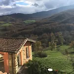 Nido D'amore