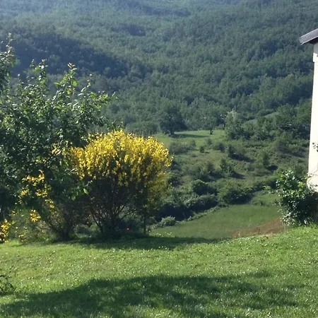 Nido D'amore 3*