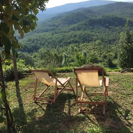 Nido D'amore Dernice