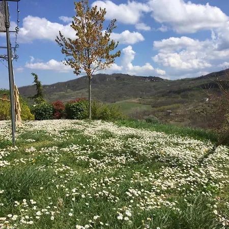 Bed & Breakfast Nido D'amore 3*