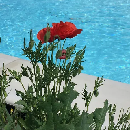 Bed & Breakfast Nido D'amore Dernice