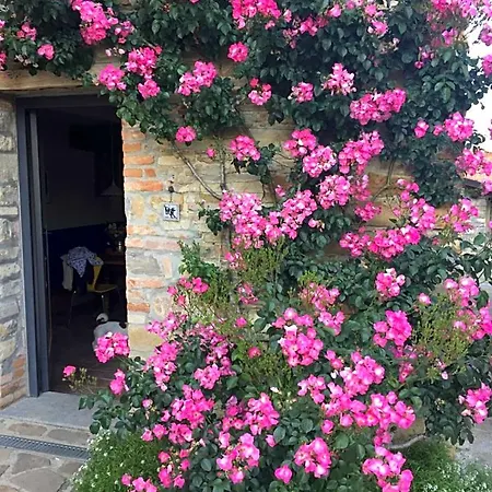 Bed & Breakfast Nido D'amore