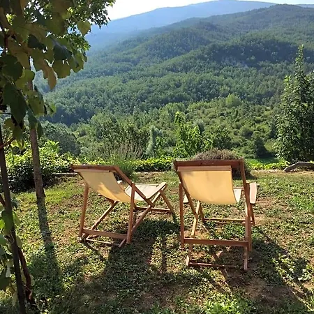 Bed & Breakfast Nido D'amore 3*