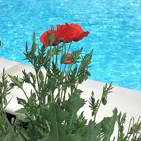 Nido D'amore 3* Dernice