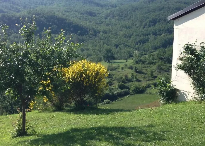 Nido D'amore 3*