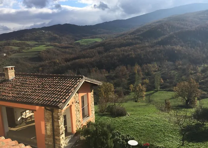 Nido D'amore