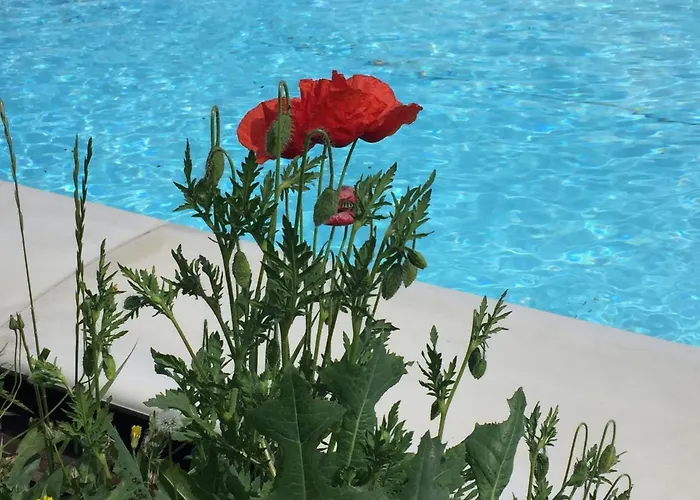 Bed and Breakfast Nido D'amore Dernice